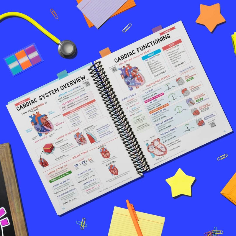 Nursing School's